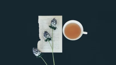 tipos-de-infusiones-wide_webp